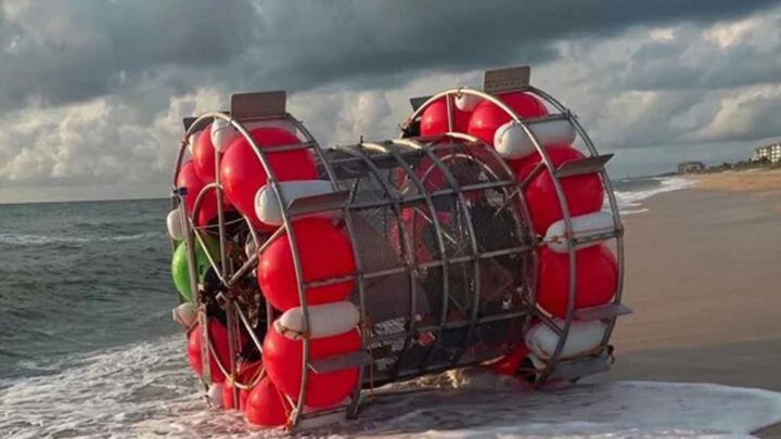 Florida Man Riding Human-Sized Hamster Wheel Arrested on Federal Charges