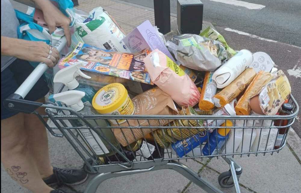 I went to M&S and piled my trolley high with discounted products – it cost me £38 in total & prices start from just 10p | The Sun