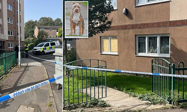 Man found unconscious after being mauled by his own XL bulldog in flat