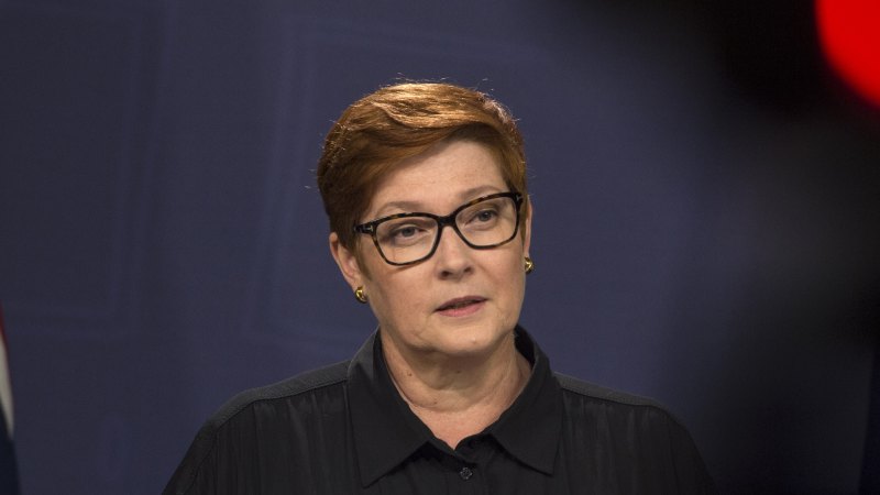 Marise Payne, former foreign minister, to quit politics on September 30