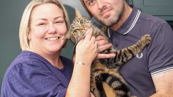 Royal Mail row over cat which &apos;clawed fingers through letterbox&apos;