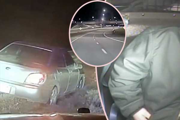 This Drunk Driver Called 911 On HIMSELF?!