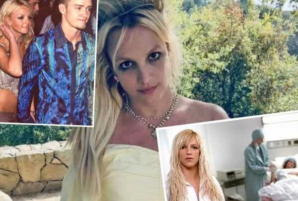 Britney Spears' Song Everytime Is NOT About Justin Timberlake Abortion?! Writer Claims…