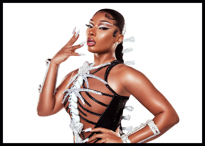 Megan Thee Stallion Featured In PSA For 'Seize The Awkward' Campaign