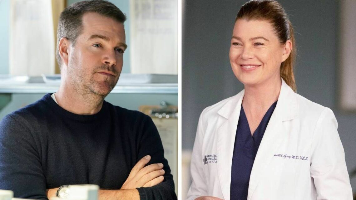 NCIS Los Angeles’ Callen star was a love interest for Grey’s Anatomy’s Meredith