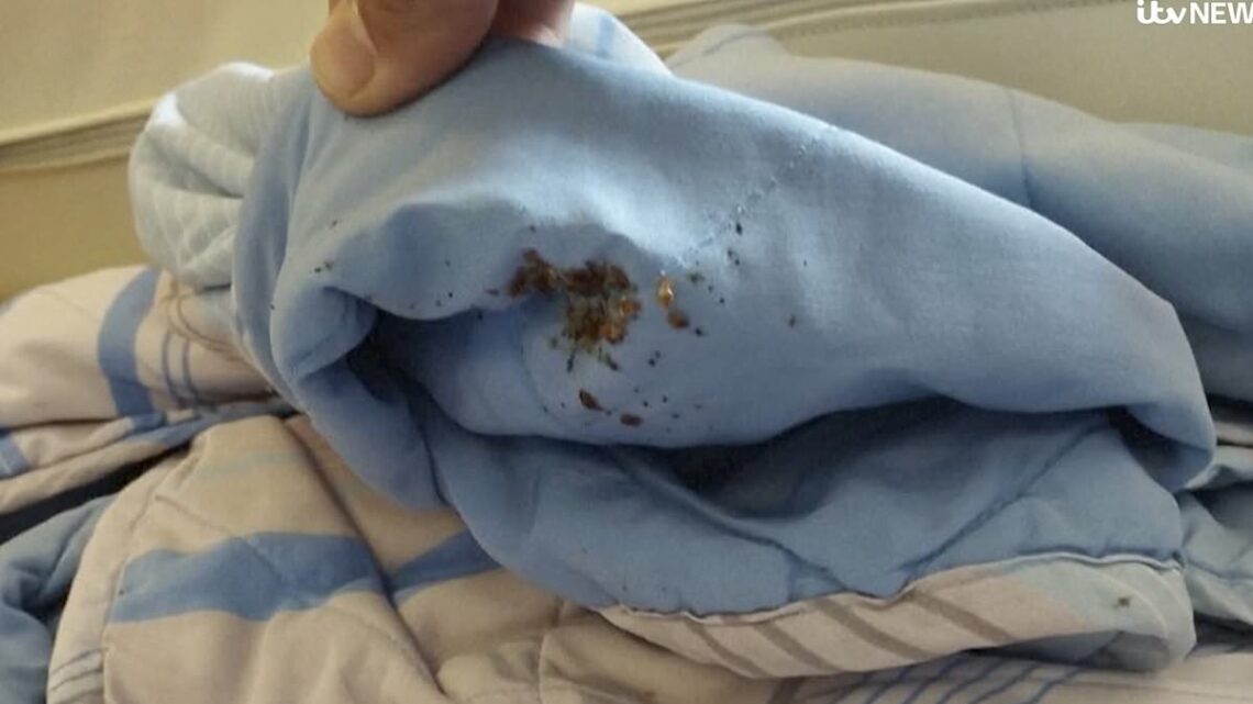 Put your duvets in the freezer, landlords tell tenants in bedbug panic