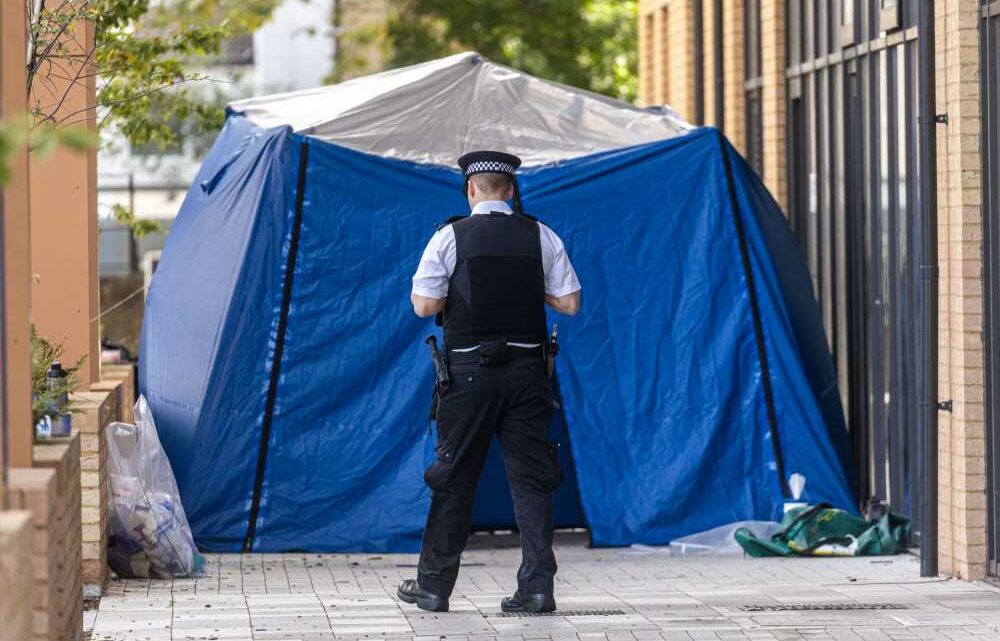 Wandsworth shooting: Man in his 20s dies after being gunned down near Battersea Park | The Sun