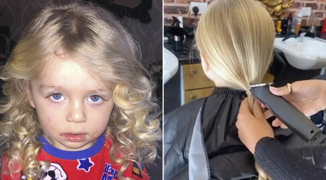 Boy gets 31-inch hair cut for first time after bullies say he ‘looks like girl’