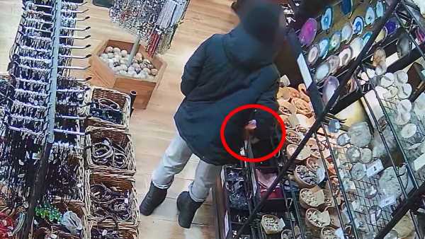 Moment adults use 12-year-old boy to steal fossils