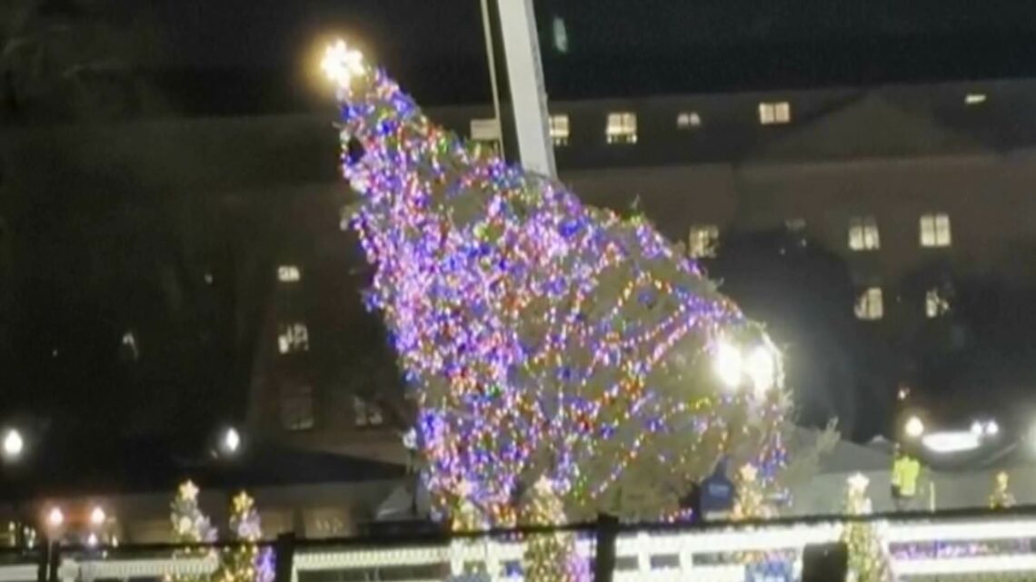 Social media responds White House&apos;s 40ft Christmas Tree blown over