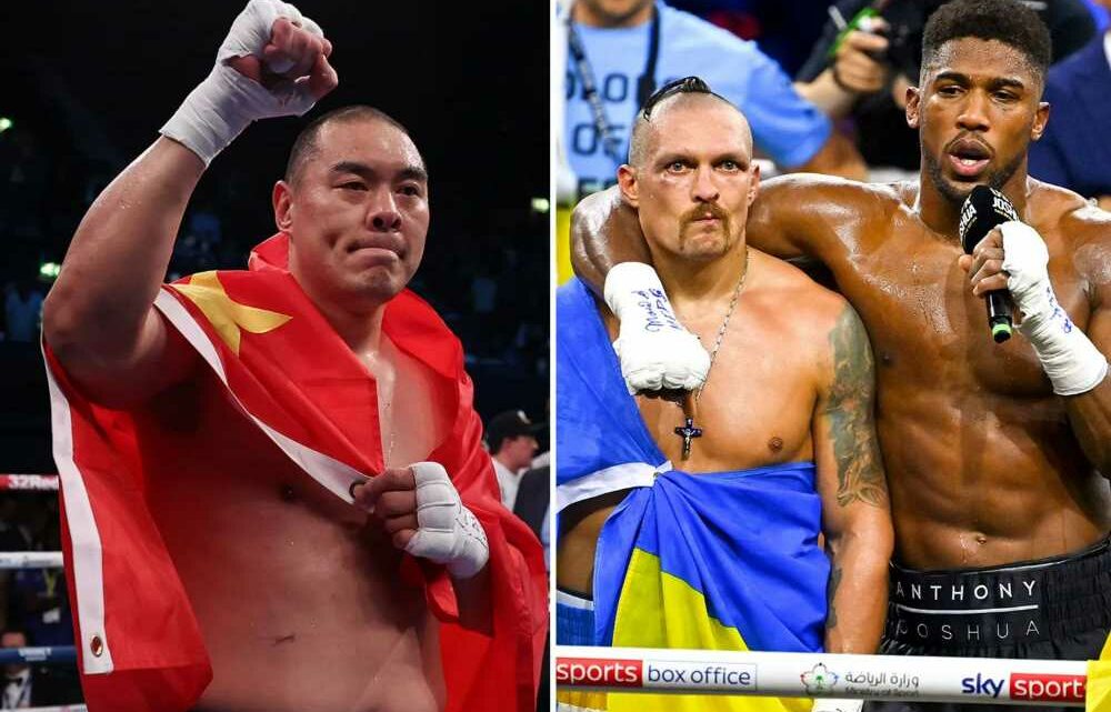 Zhilei Zhang swipes at Anthony Joshua and brutally threatens to put 'unproven' Oleksandr Usyk 'to sleep' | The Sun