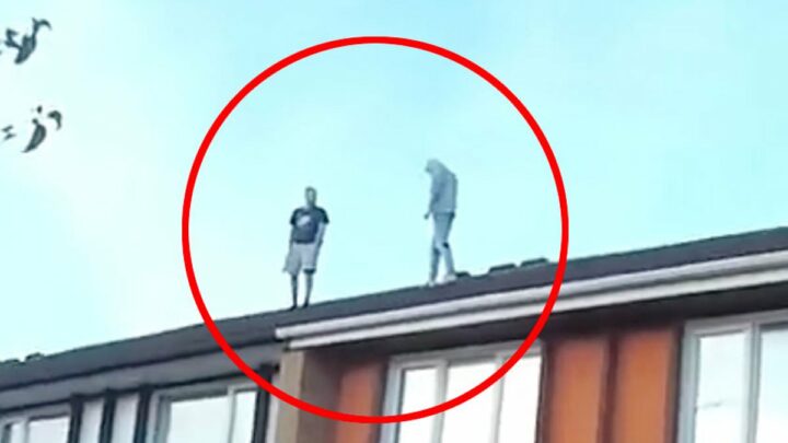 Crooks caught by police after climbing roof of £44K cannabis farm